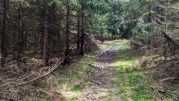 Malý Travný
