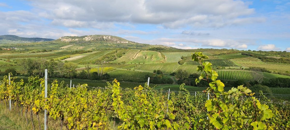 Anenský vrch (268&nbsp;m)