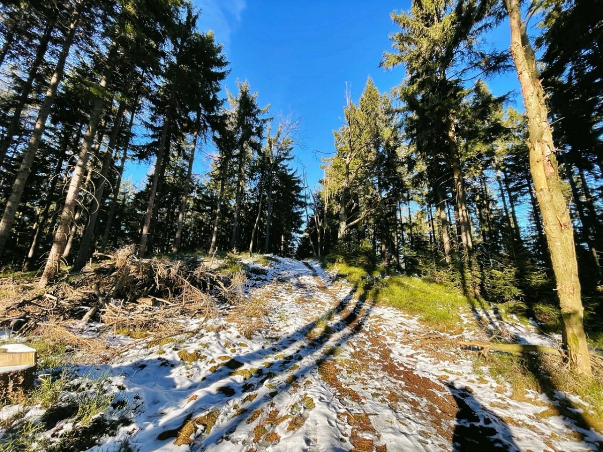 Železný karpál (733 m)