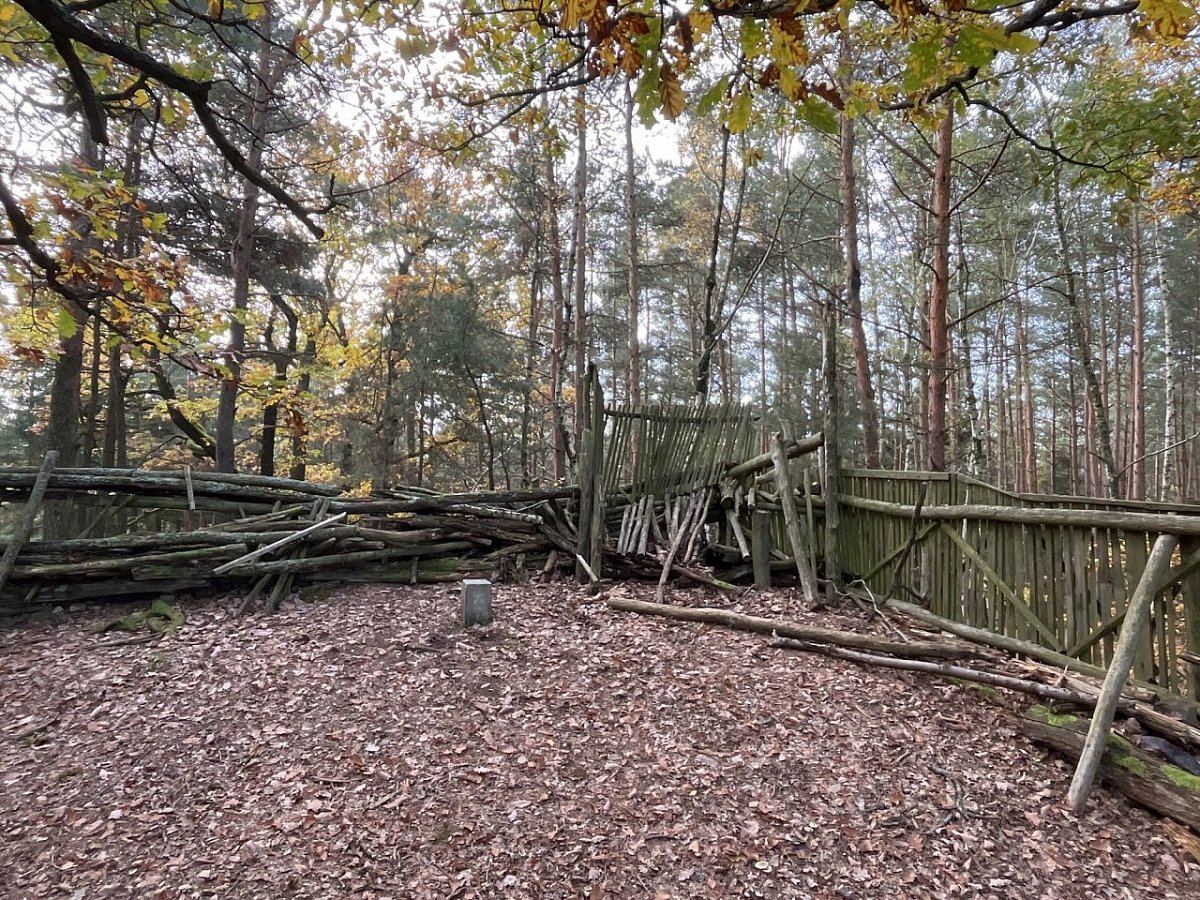 Ostrý (538 m)