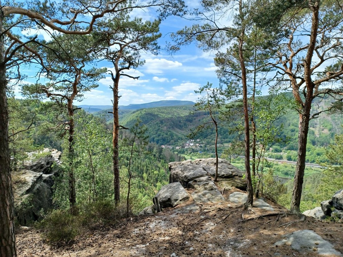 Nad Loubím (301 m)