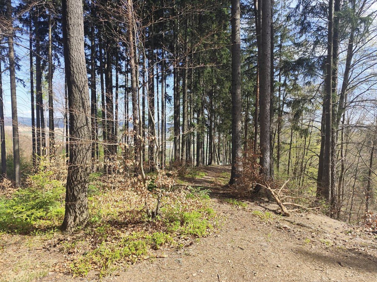 Robův kopec (487&nbsp;m)