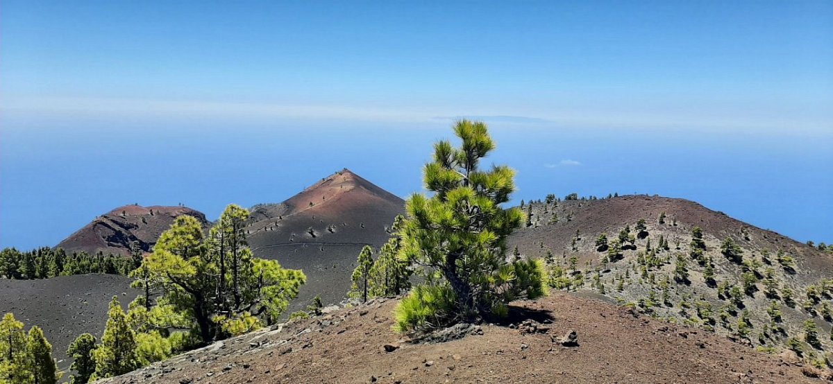 Montaña Cabrera (1699 m)