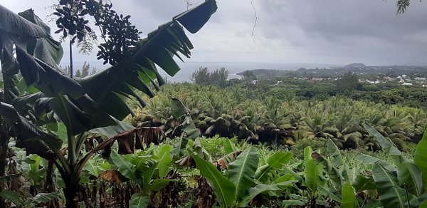 Piton Vincendo