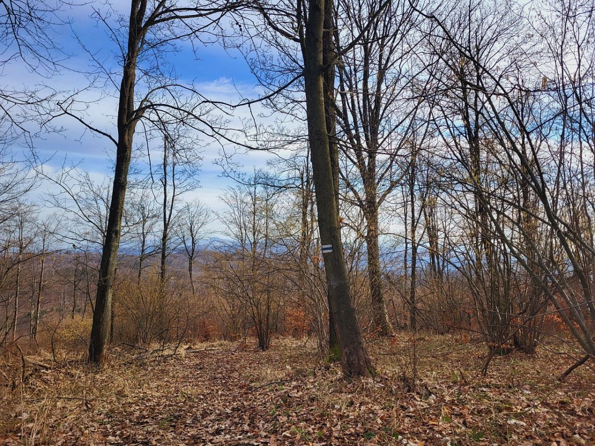 Wilczak (633 m)