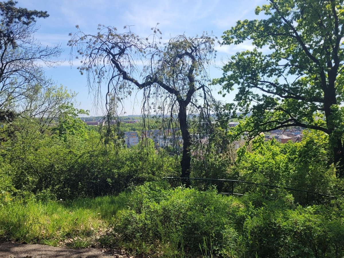 Tábor (261 m)