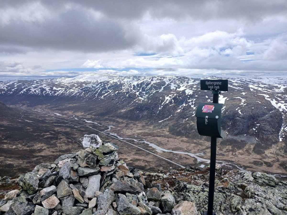 Bjøbergnøse (1468 m)