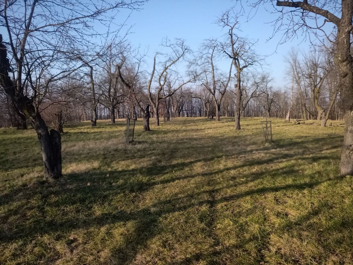 Habrov (287 m)