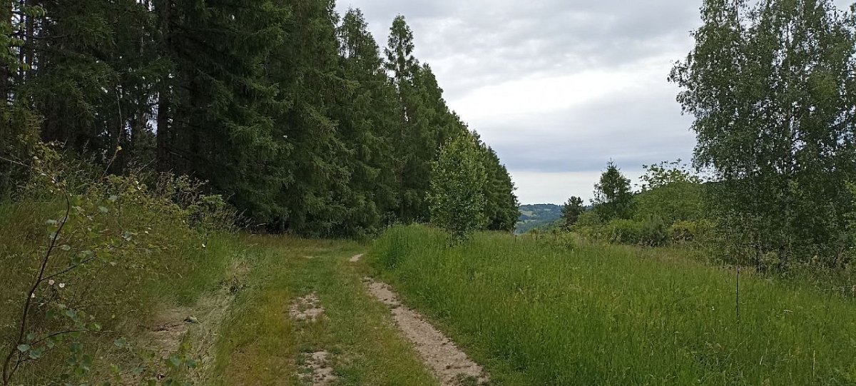 Jaseňovo (701 m)