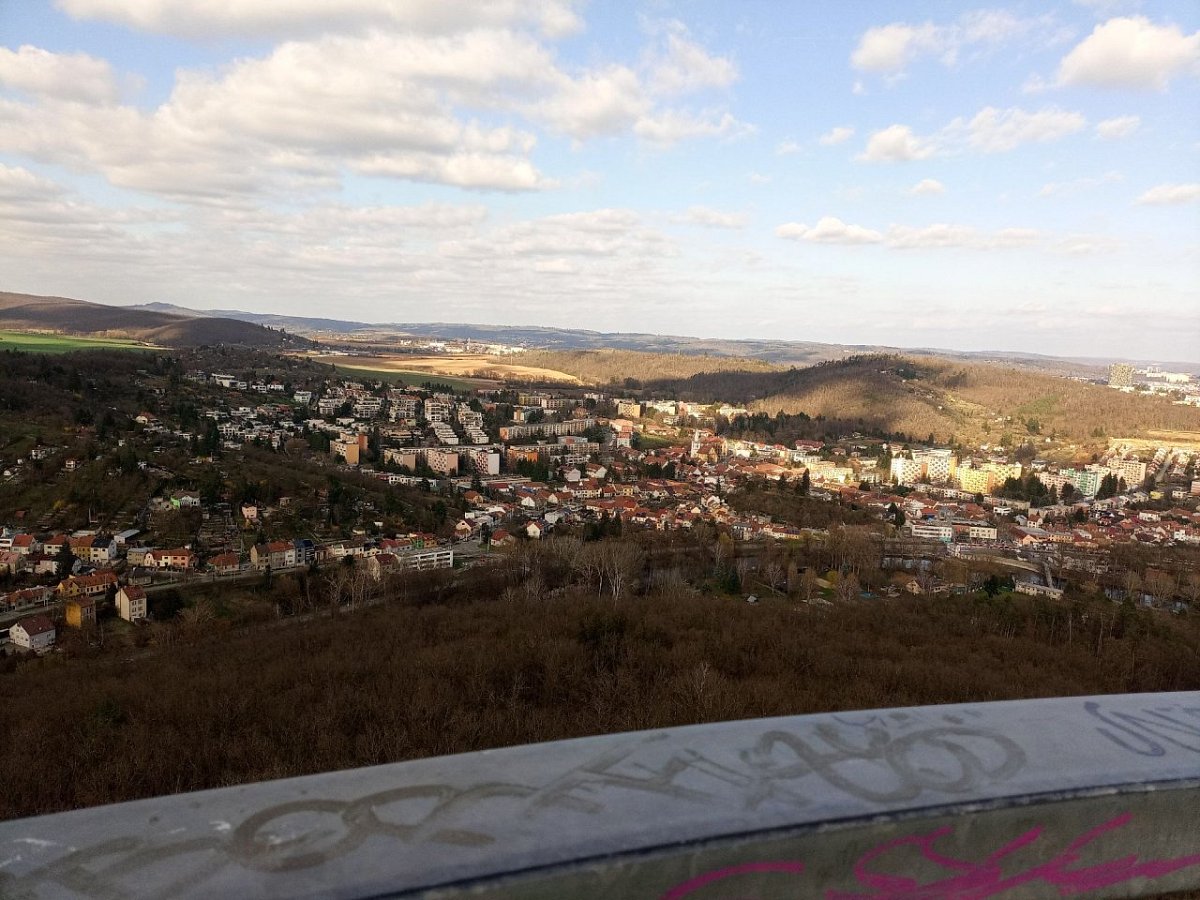 Holedná - rozhledna (311 m)