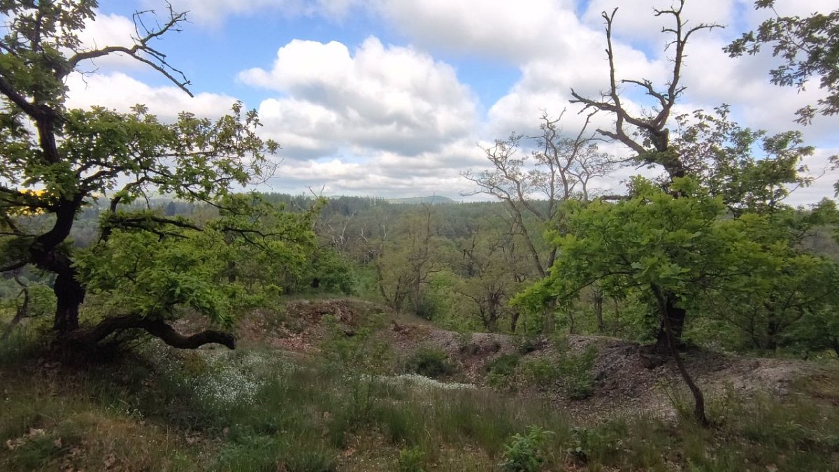 Kaplířka (372 m)
