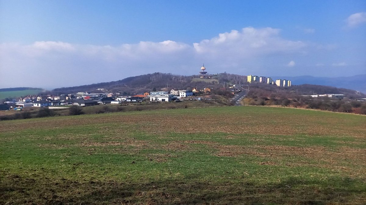 Švíckův kopec (334 m)