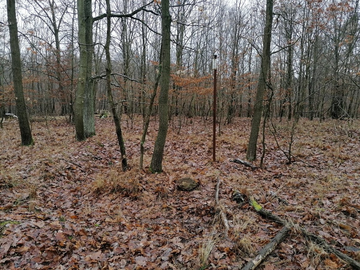 Šuráň (420 m)