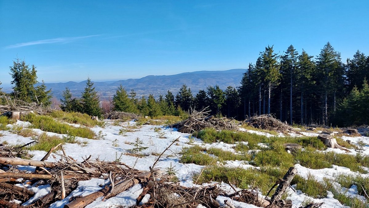 Ptačí kameny (750 m)