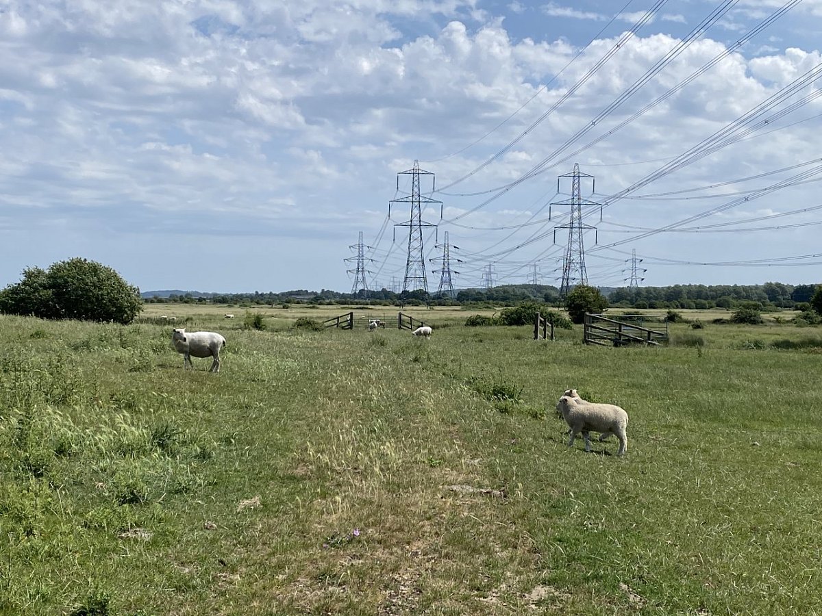 Barrow Hill (5 m)