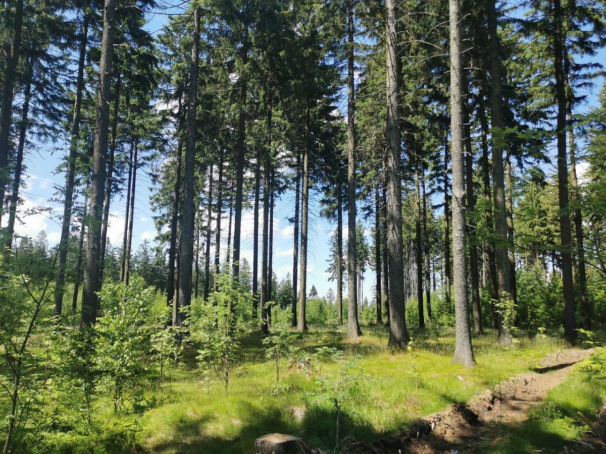 Hradešín (630 m)