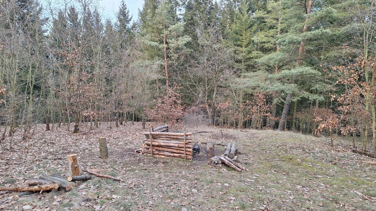 Holý kopec (348 m)
