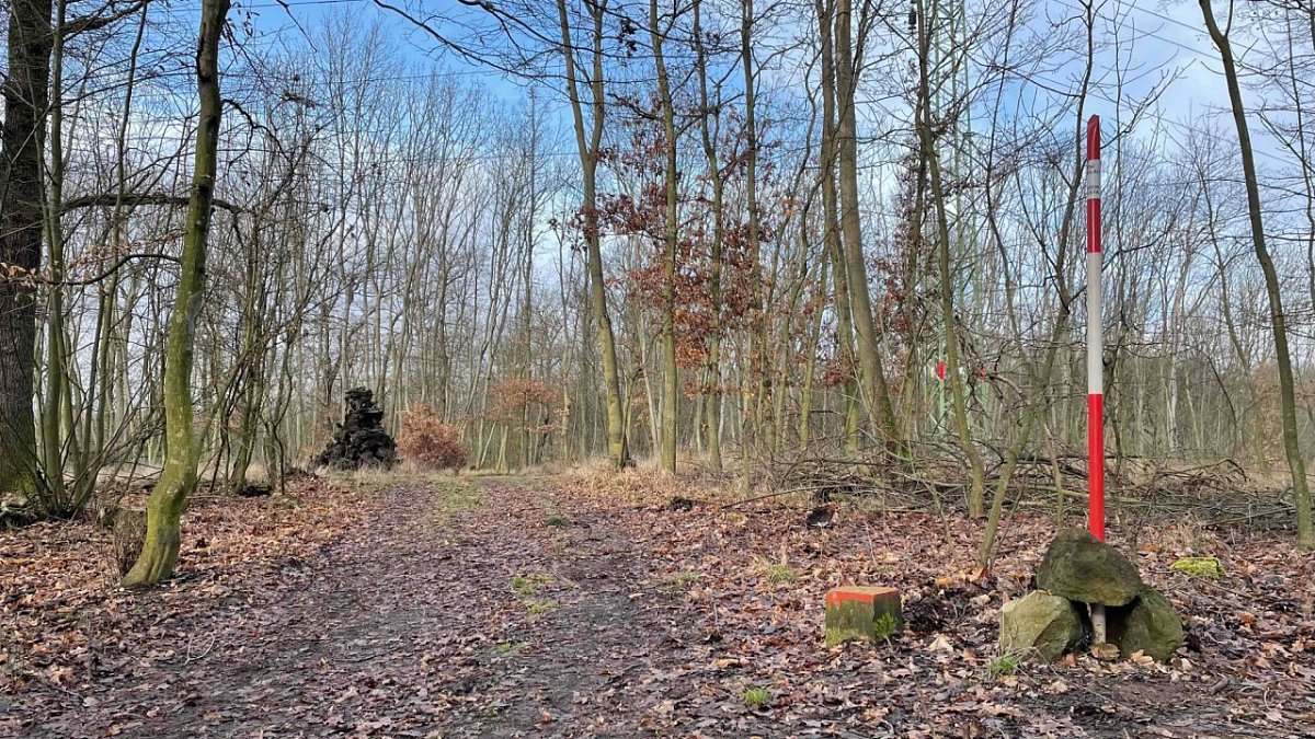 Čápův vrch (335 m)
