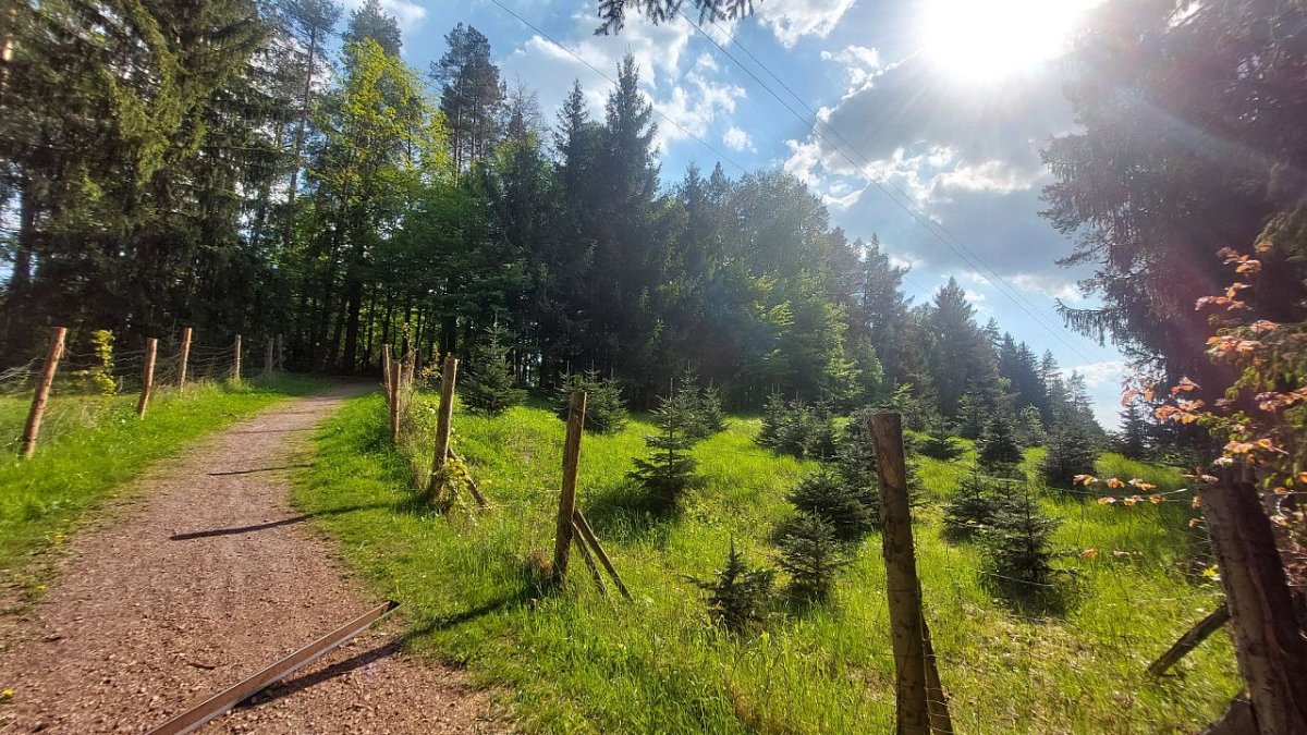 Vlčka (514&nbsp;m)