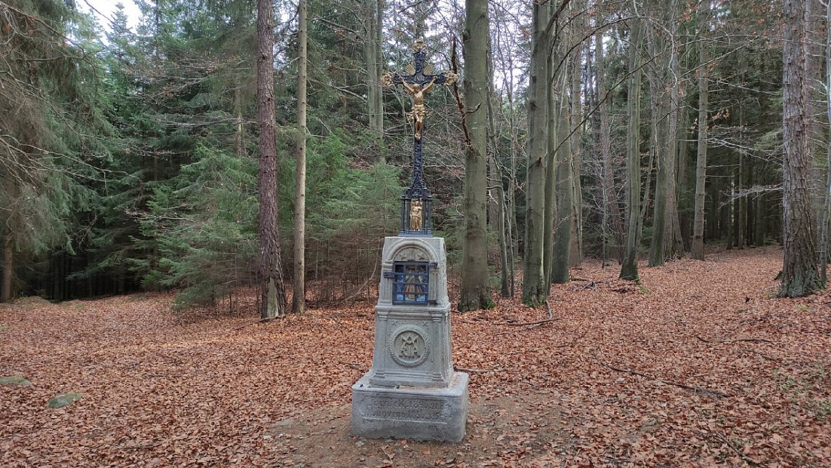 Besednická hora SZ (665 m)