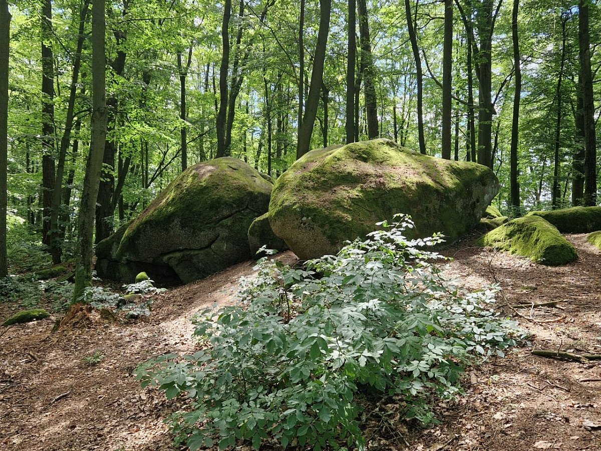 Velký Mehelník (633 m)