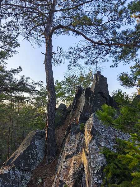 Amálka