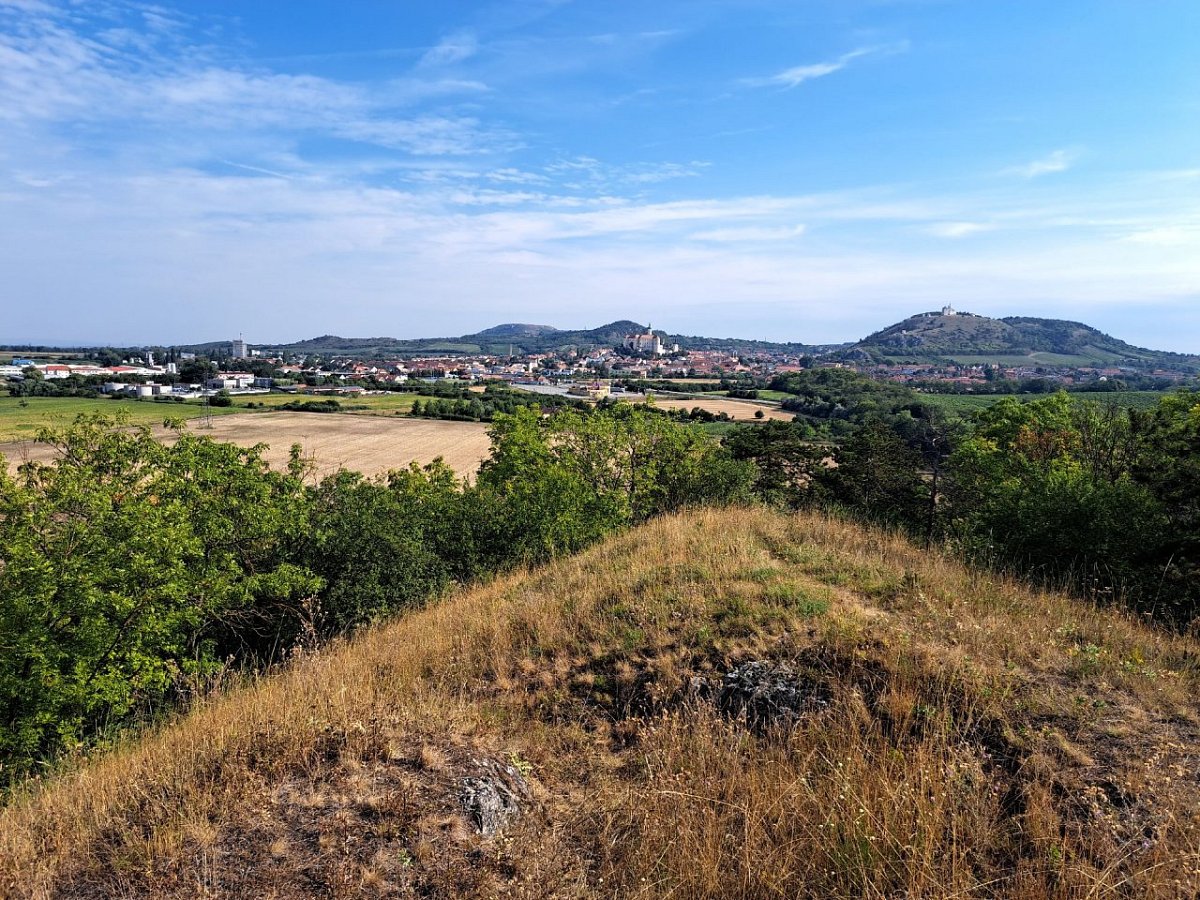 Šibeniční vrch (238 m)