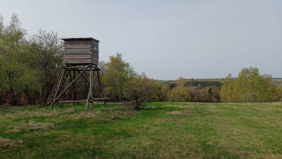Hájek (590 m)