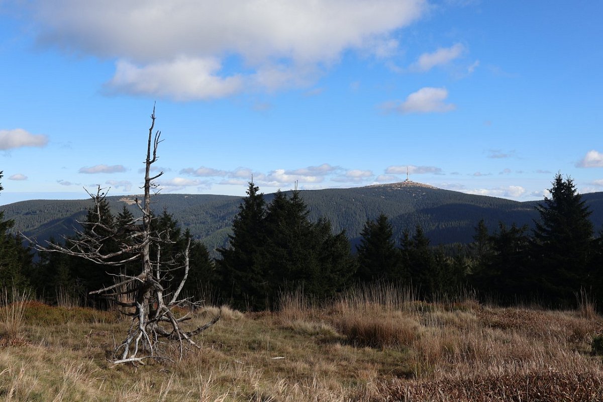 Vřesník (1342 m)