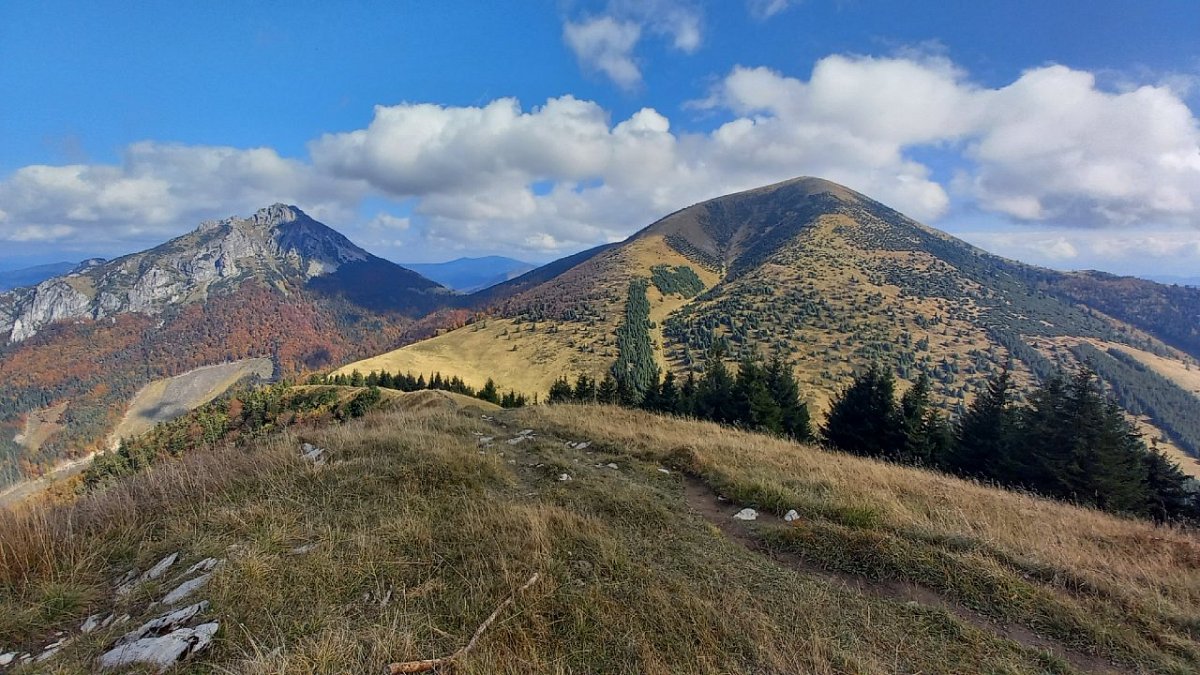 Poludňový grúň (1460 m)
