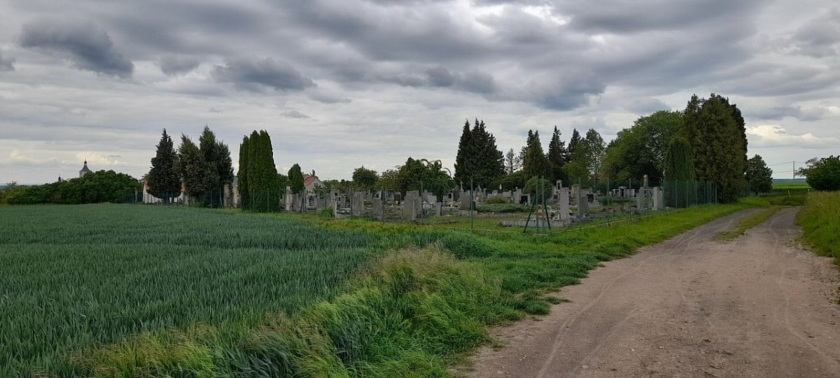 Řehořův vršek (290 m)