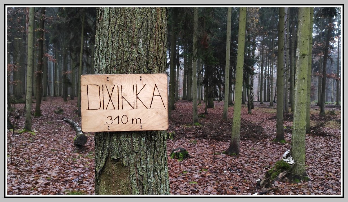 Dixinka (310 m)