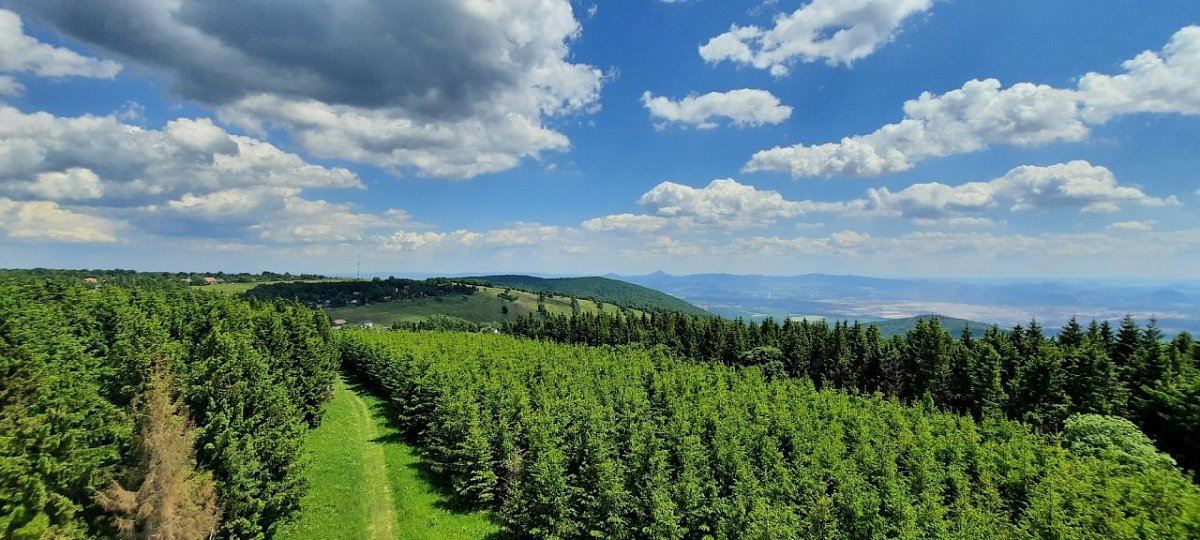 Vlčí hora (892 m)