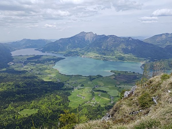 Sparber