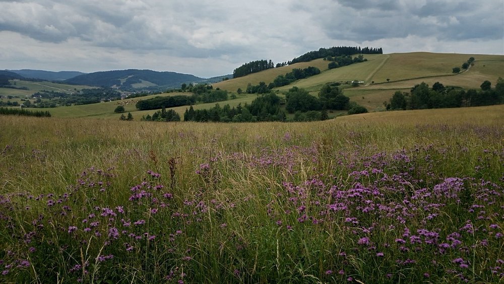 Beskid