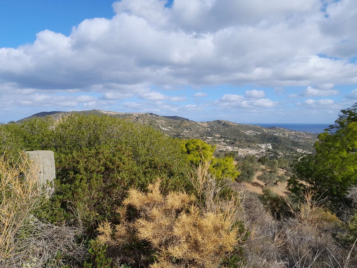 Κουσούλι (139&nbsp;m)