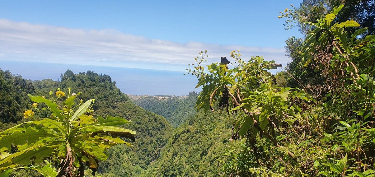 Vale da Lapa (982 m)