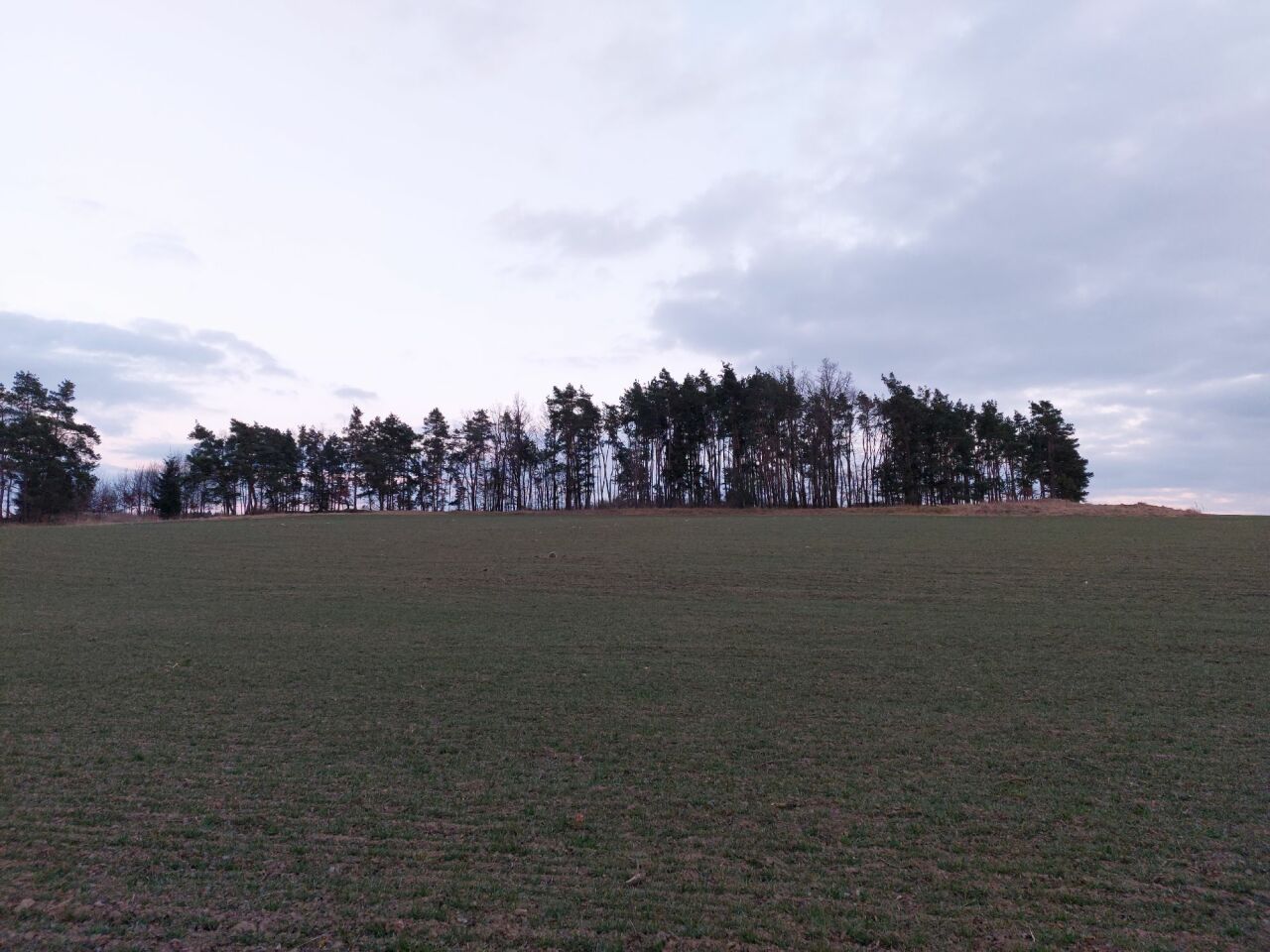 Na Býkovci