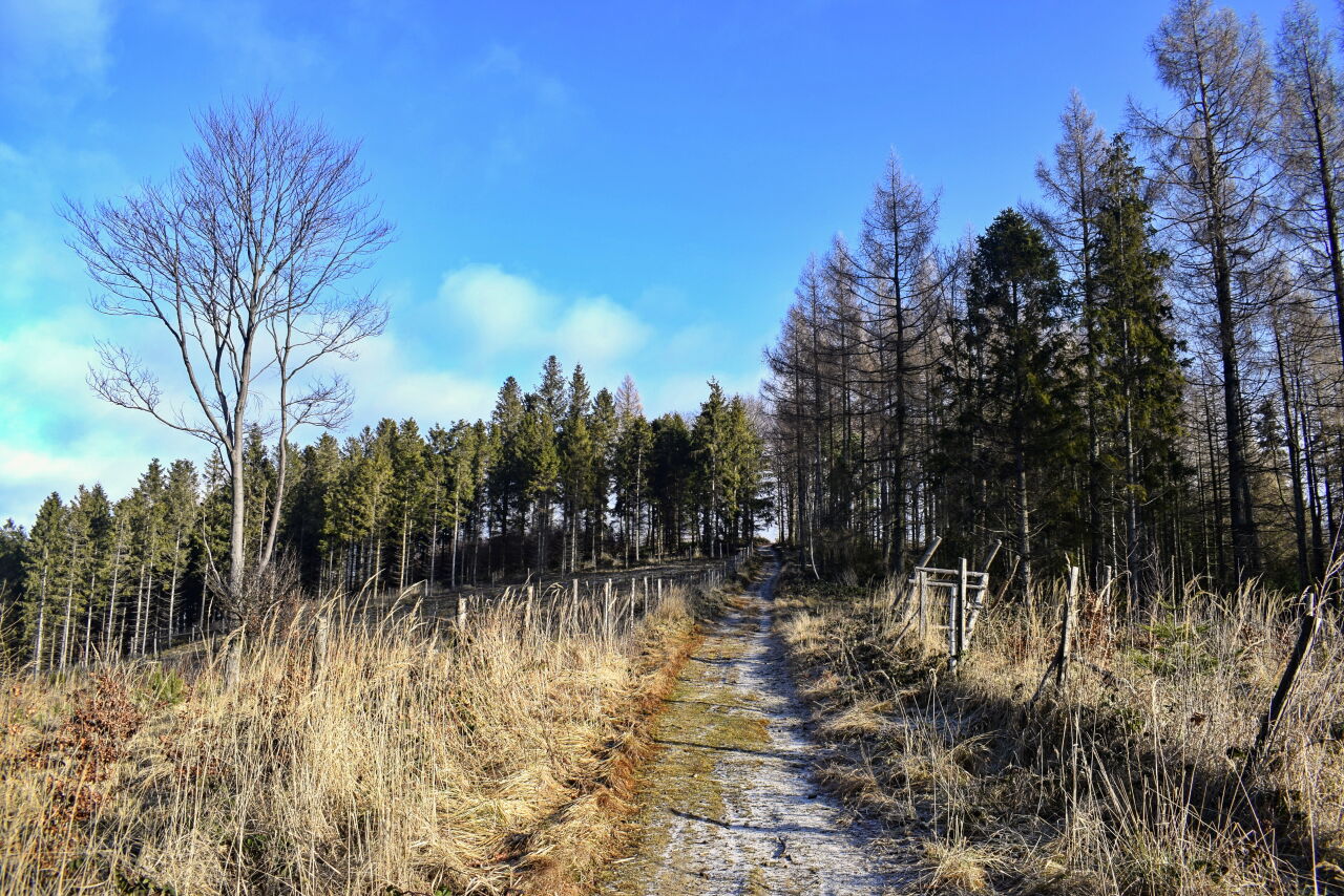 Ostružná